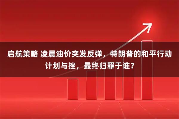 启航策略 凌晨油价突发反弹，特朗普的和平行动计划与挫，最终归罪于谁？