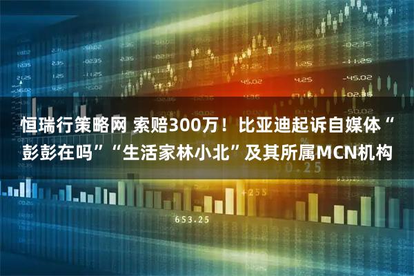 恒瑞行策略网 索赔300万！比亚迪起诉自媒体“彭彭在吗”“生活家林小北”及其所属MCN机构
