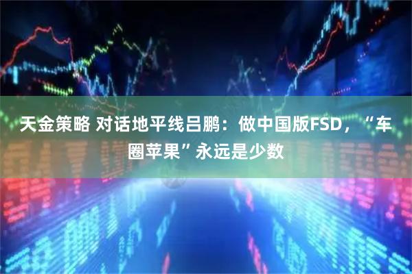 天金策略 对话地平线吕鹏：做中国版FSD，“车圈苹果”永远是少数