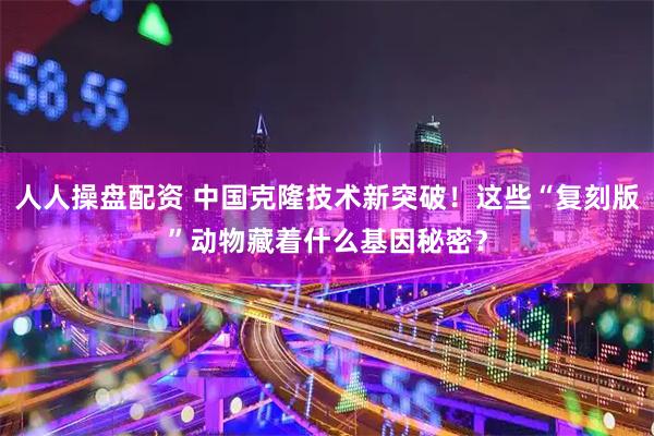 人人操盘配资 中国克隆技术新突破！这些“复刻版”动物藏着什么基因秘密？