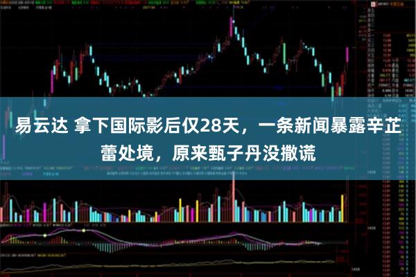 易云达 拿下国际影后仅28天，一条新闻暴露辛芷蕾处境，原来甄子丹没撒谎