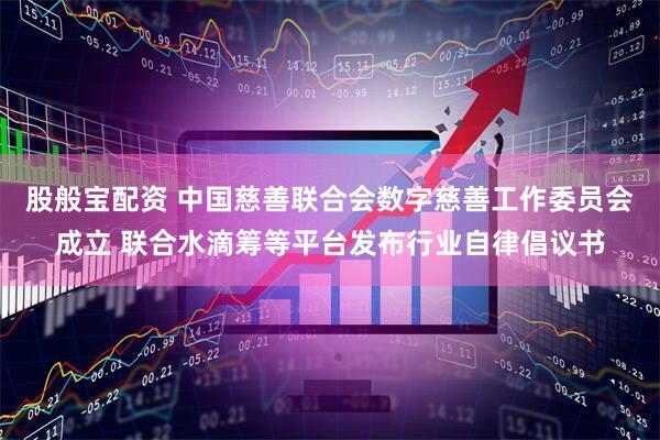 股般宝配资 中国慈善联合会数字慈善工作委员会成立 联合水滴筹等平台发布行业自律倡议书