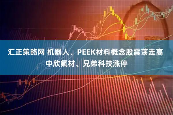 汇正策略网 机器人、PEEK材料概念股震荡走高 中欣氟材、兄弟科技涨停